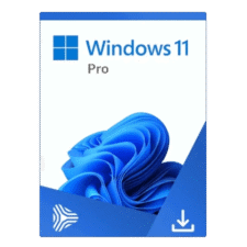 Microsoft Windows 11 Professional
