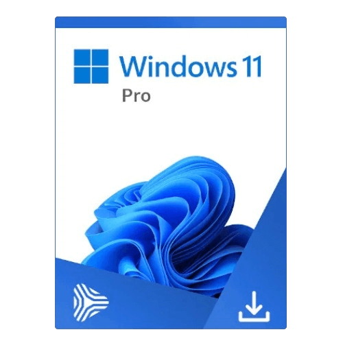 Microsoft Windows 11 Professional – OEM
